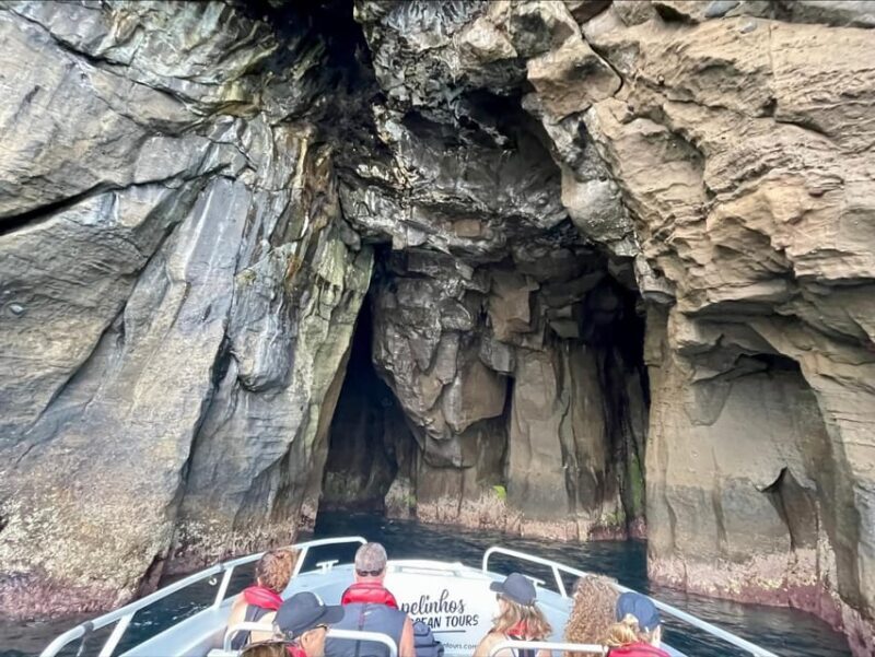 Faial Island: Unique boat tour to the Capelinhos volcano - Final Thoughts