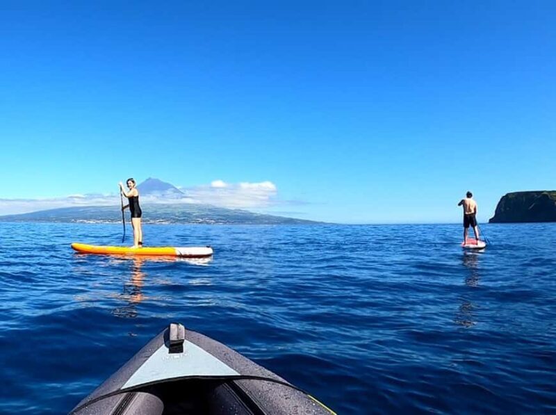 Faial: Stand-Up Paddle Board Rental - Key Points