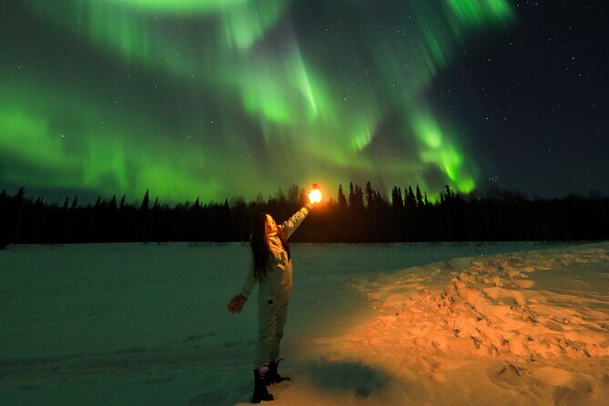 Fairbanks Aurora Borealis Night Tour - Why You Might Consider This Tour