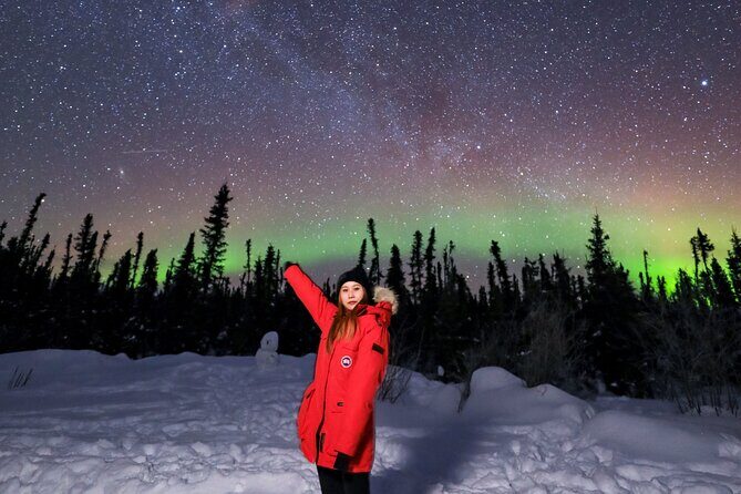 Fairbanks Aurora Borealis Night Tour - What Reviewers Say About This Tour