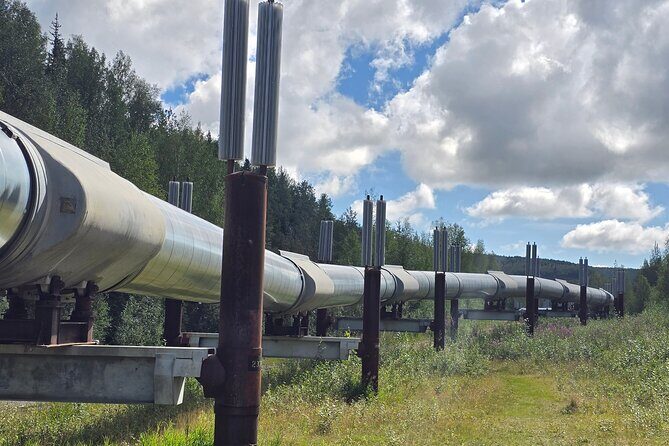 Fairbanks City Tour - Is the Price Worth It?