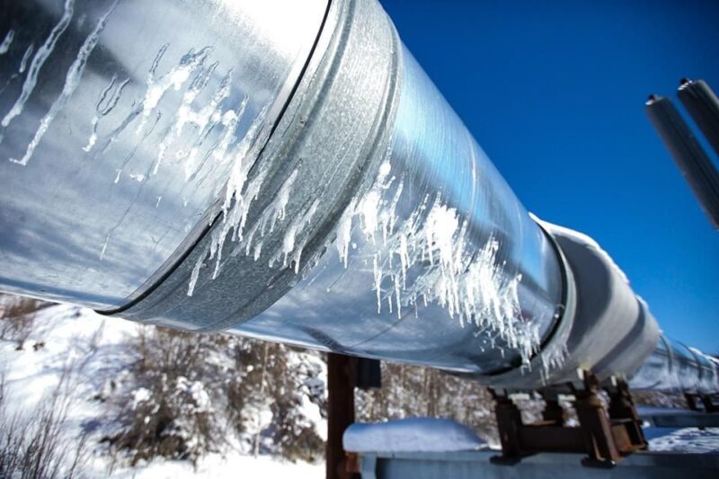 Fairbanks Heritage Sightseeing Tour - A Closer Look at the Tour Experience