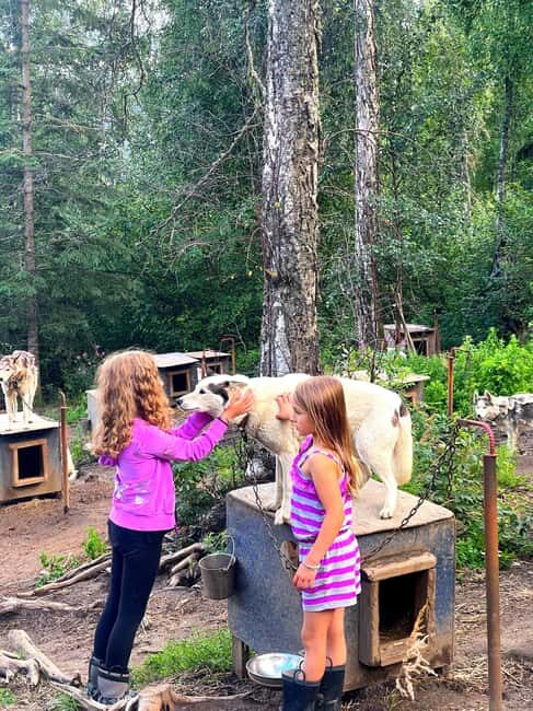 Fairbanks: Husky Hiking Tour - The Guide and Group Dynamics