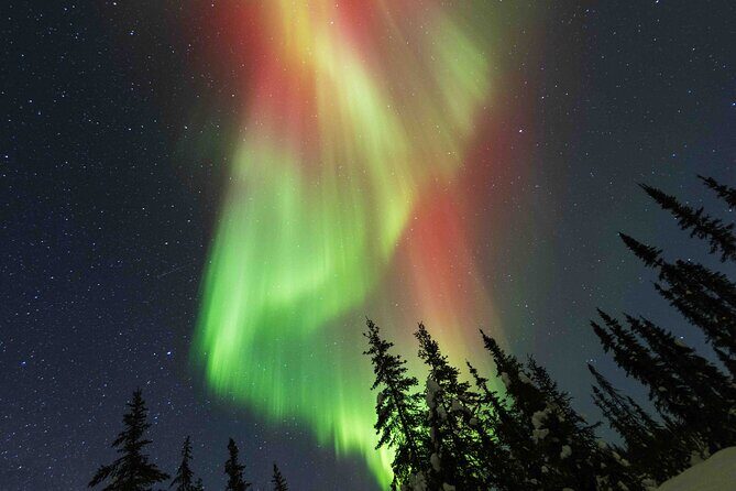 Fairbanks Northern Lights Adventure with free Aurora portraits - Why This Tour Stands Out