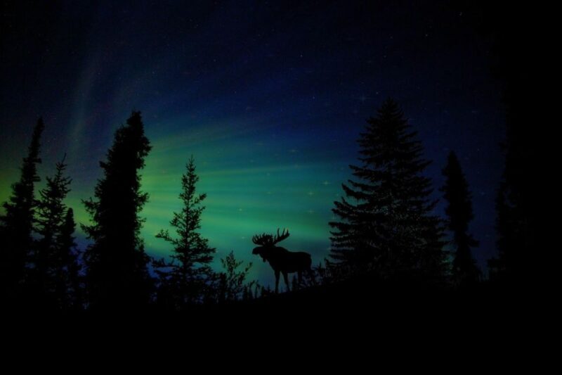 Fairbanks: Northern Lights and Chena Hot Springs Tour - An Honest Breakdown of the Experience