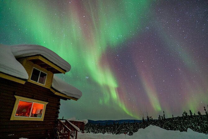 Fairbanks Northern Lights Tour - Who Should Consider This Tour?