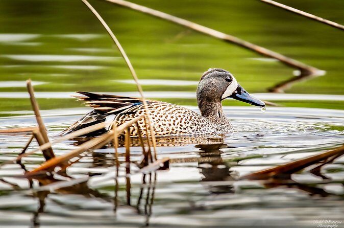 Fairbanks Private Photography Workshop - Final Thoughts