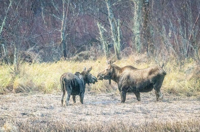 Fairbanks Private Photography Workshop - Frequently Asked Questions