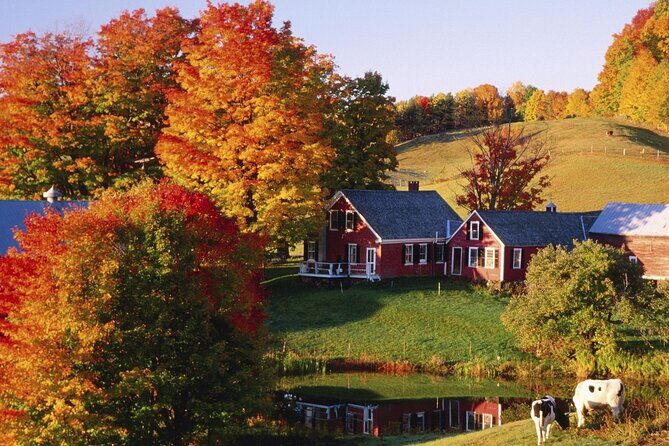 Fall Season, Vermont Maple Fall Foliage 2-Day Tour from New York - Who Is This Tour Best Suited For?