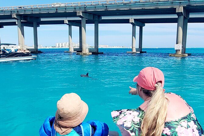 Fall/ Winter Destin Harbor Sightseeing Dolphin Cruise - The Sum Up