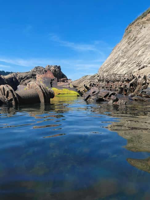 Falmouth: Coastal Paddleboard Tour - Key Points