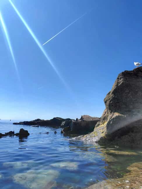 Falmouth: Coastal Paddleboard Tour - Final Thoughts: Who Should Consider This Tour?