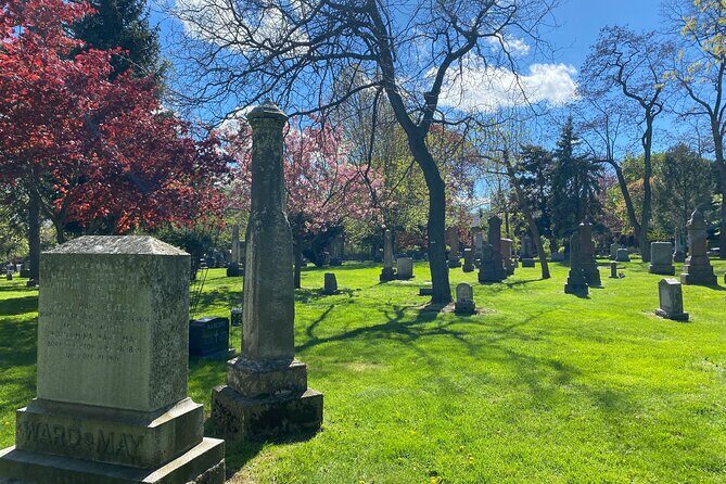 Fame and Folly in Victorian Cabbagetown - Practicalities and Considerations