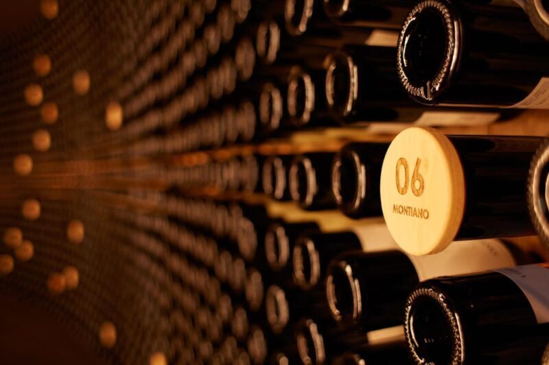 FAMIGLIA COTARELLA, NEAR ORVIETO WINE TASTE AND VISIT - An In-Depth Look at the Experience