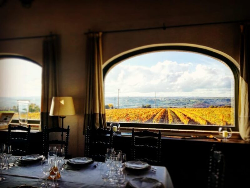 FAMIGLIA COTARELLA, NEAR ORVIETO WINE TASTE AND VISIT - FAQ