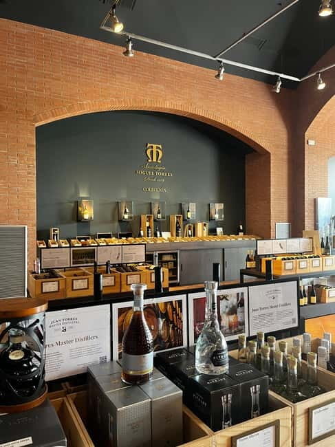 Familia Torres Winery: Gastronomic Tapas & Wine Experience - The Details: What You Need to Know
