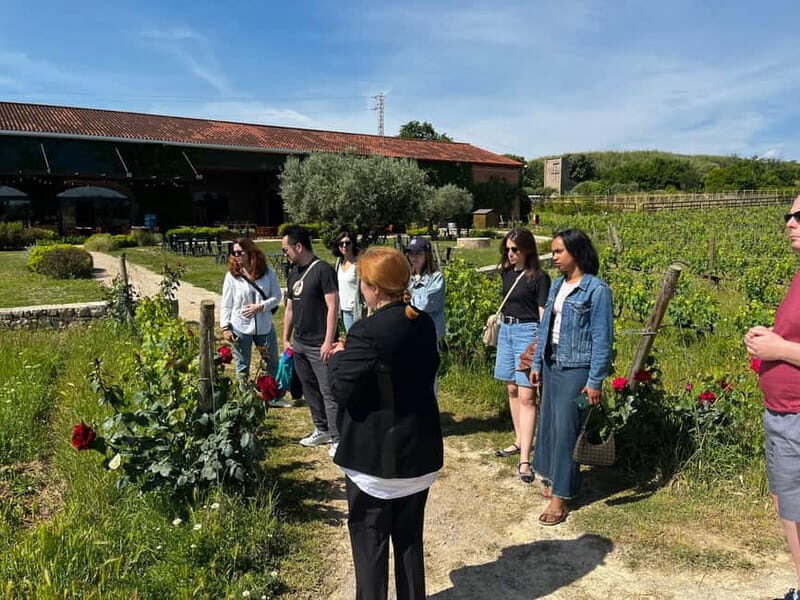 Familia Torres Winery: Gastronomic Tapas & Wine Experience - Real Travelers’ Impressions & Authentic Insights