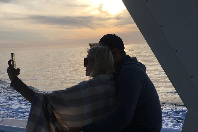 Family and Private Group Whale and Dolphin Watching - Who Will Love This Tour?