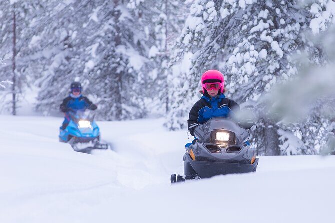 Family day: Reindeer, Husky and Snowmobiling in Levi - The Sum Up