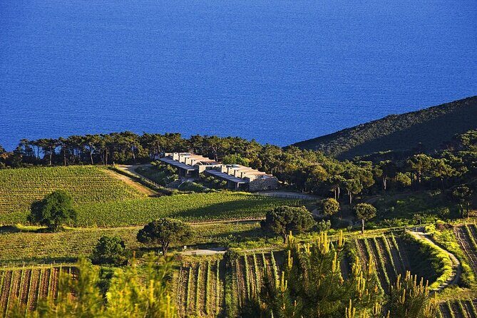 Family E-Bike Tour in the Costa dei Gabbiani Nature Reserve - The Experience Itself: What You Can Expect