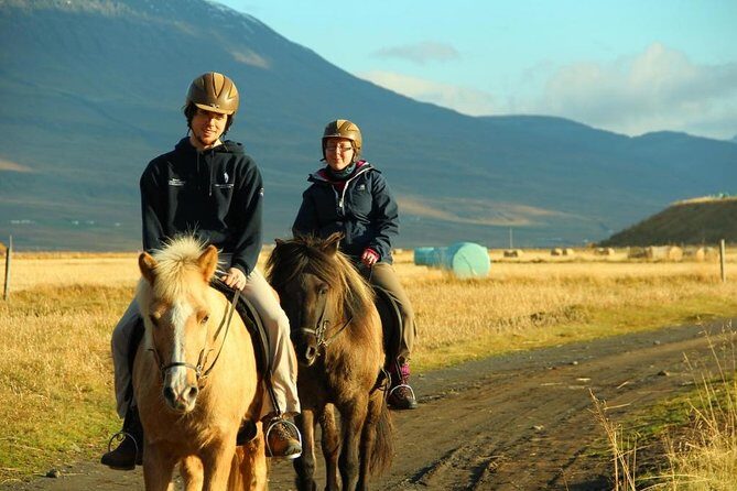 Family Friendly Horse Riding Tour in Skagafjörður - What You’ll Love About This Experience