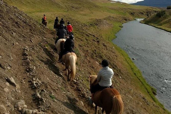 Family Friendly Horse Riding Tour in Skagafjörður - Practical Details You Need to Know