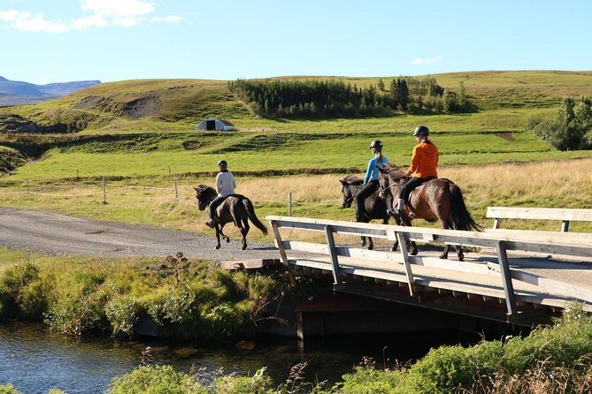Family Friendly Horse Riding Tour in Skagafjörður - Who Will Love This Tour?