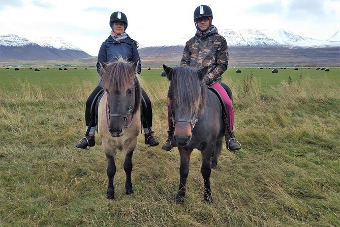 Family Friendly Horse Riding Tour in Skagafjörður - Final Thoughts