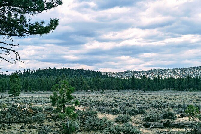 Family-Friendly Nature Hike around the Big Bear Valley - Final Thoughts