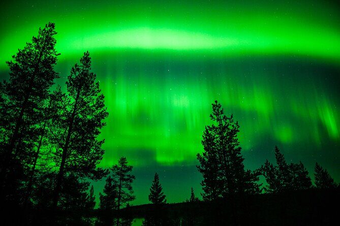 Family-Friendly: Northern Lights Adventure from Rovaniemi - How This Tour Compares