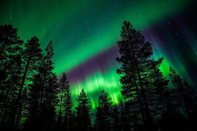 Family-Friendly: Northern Lights Adventure from Rovaniemi - Who Is This Tour Best For?