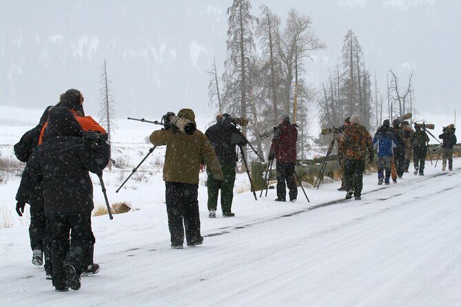 Family Friendly Private Tour at Yellowstone National Park w/Lunch - The Practical Side: Transportation, Timing, and Group Size