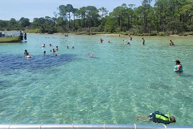 Family-Friendly Snorkeling and Dolphin Tour from FWB - The Safety & Accessibility