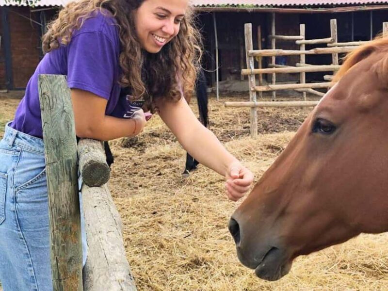 Family-Friendly Tuscany Tour for Wine Lovers & Non-Drinkers - Key Points