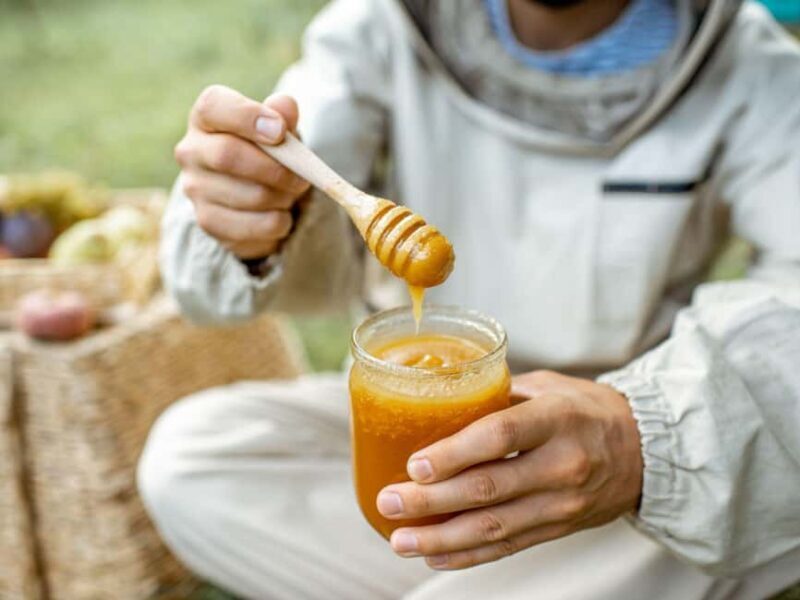 Family-Friendly Tuscany Tour for Wine Lovers & Non-Drinkers - Frequently Asked Questions