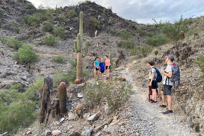 Family Fun Guided Hike in Phoenix, Arizona | Kids 10 & under free - What is this tour really like?
