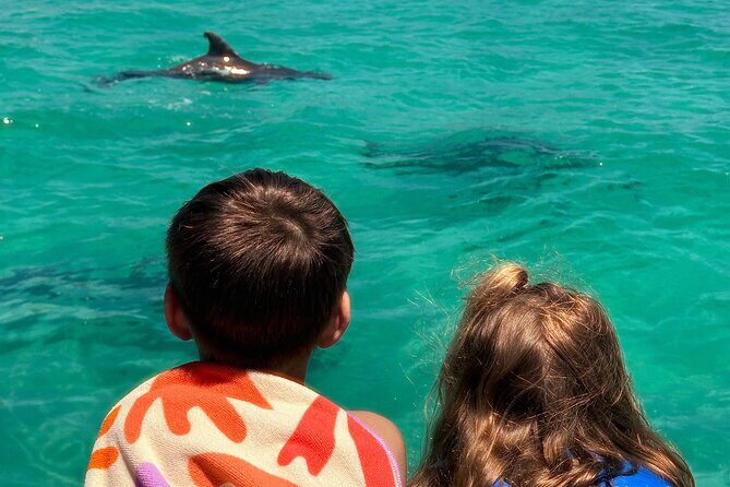 Family Fun Pontoon Rental w/ Lily Pad - What Could Be Better?
