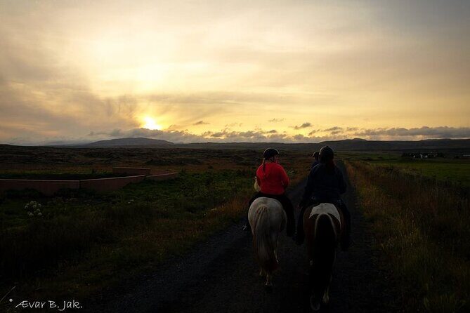 Family Horse Riding Tour in Thorlakshofn - An In-Depth Look at the Experience
