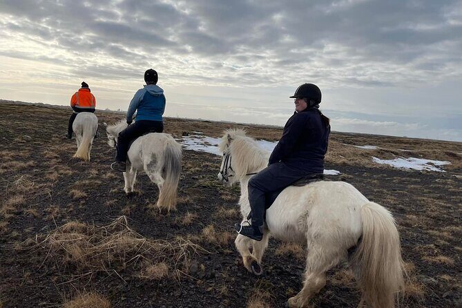 Family Horse Riding Tour in Thorlakshofn - Final Thoughts