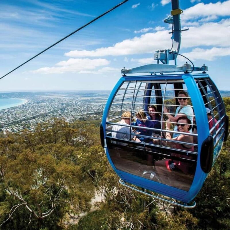 Family Lunch and Arthurs Seat Eagle for 2 Adults and 2 kids - What to Expect from This Experience
