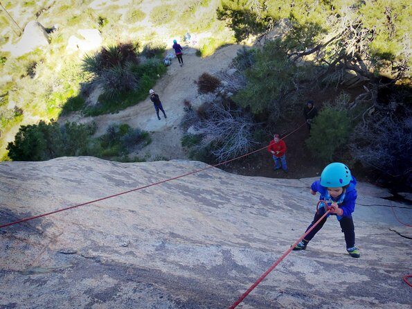 Family Rock Climbing Trips in Joshua Tree National Park (4 Hours) - The Practical Details: Booking, Cost, and Timing