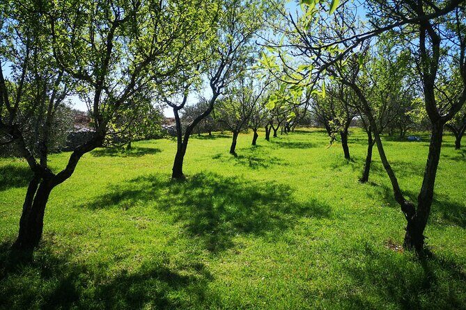 Family-run Vineyard Tour & Award Winning Wine Tasting/Delicacies - FAQs