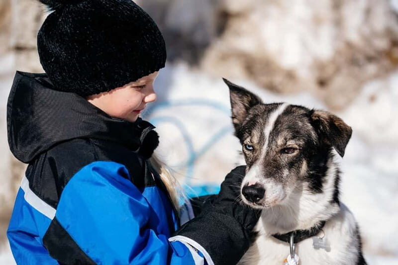 Family Snow Fun with Huskies, Reindeer, Mini Scooters, Lunch - An Honest Look at the Experience
