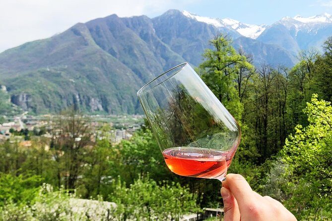 Family tasting - A little tasting - Key Points