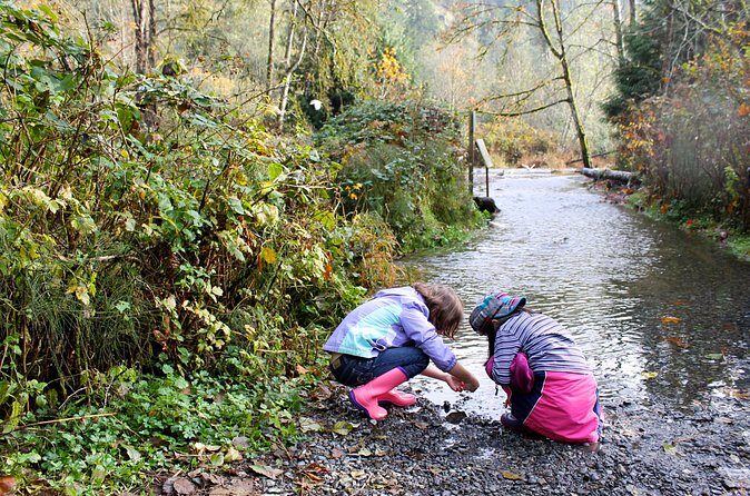 Family Tour in Victoria: Fun and Adventure for all ages - Practical Tips for Your Trip