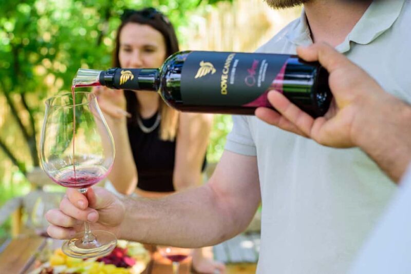 Family Village Winery Tour & Tasting in Aghavnadzor - Final Thoughts