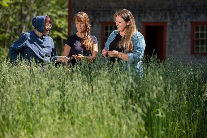 Family visit to the Acadian Historic Village - What Does the Experience Feel Like?