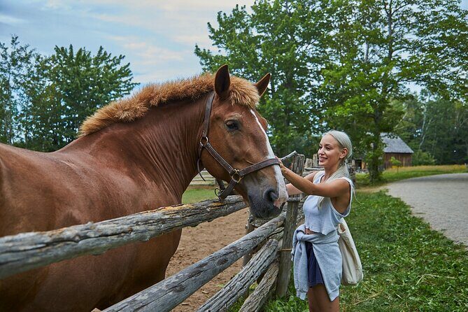 Family visit to the Acadian Historic Village - Authentic Feedback from Visitors