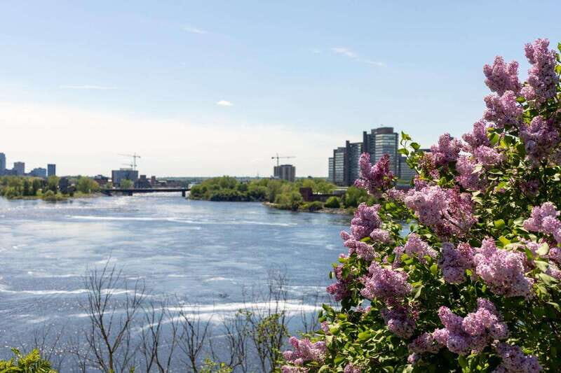 Family Walking Tour in Ottawa: Special Highlights - FAQs