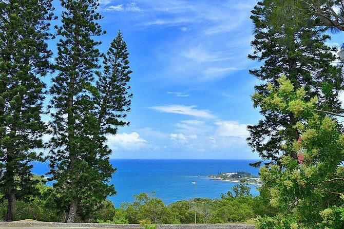 FAMOUS Local Green Train Noumea (01h30) - The Practicalities: What You Should Know